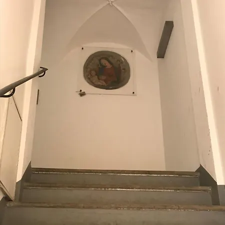 Domus Modena